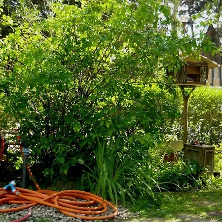 House And Apts. In Balaton 26303 Appartamento *